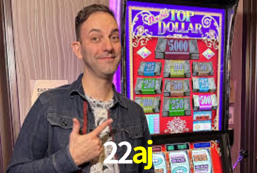 Premium Interface 22aj